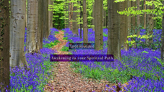 Awakening to your Spiritual Path